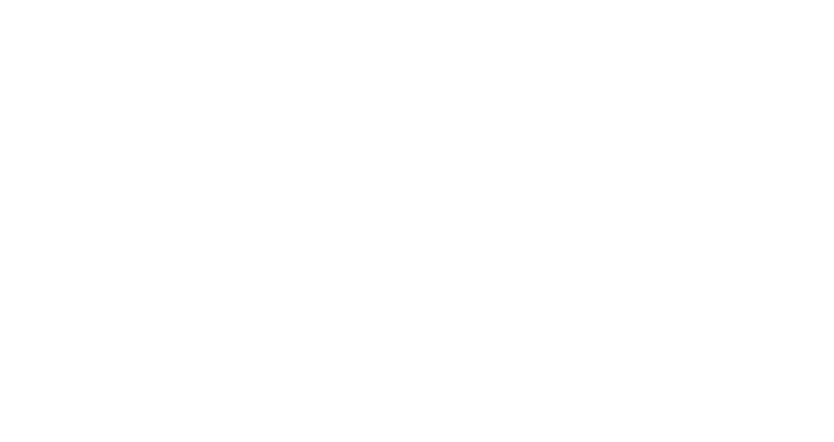 GVM Logo white